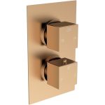 Spay Thermostatic Two Outlet Twin Shower Valve - Brushed Bronze