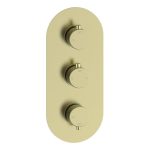 Mist Thermostatic Two Outlet Triple Shower Valve - Brushed Brass
