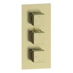 Spay Thermostatic Two Outlet Triple Shower Valve - Brushed Brass