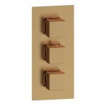 Spay Thermostatic Two Outlet Triple Shower Valve - Brushed Bronze